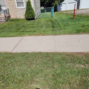 grass maintenance by Shear Greenery Professional Lawn and Garden care reviewed on May 14, 2024