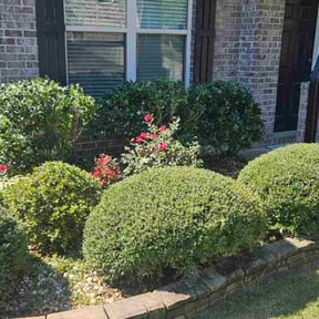 Bush Trimming by Escobar lawn care services reviewed on November 8, 2025