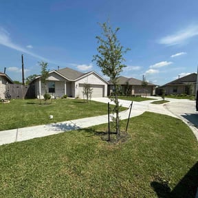 yard maintenance by Get My Yard in Shape reviewed on August 21, 2025