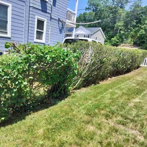 Bush Trimming by Chris’s Lawn Service reviewed on August 20, 2025