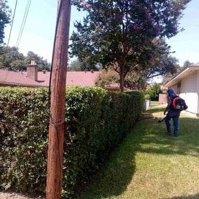 Bush Trimming by Brooks Horridge reviewed on November 5, 2025