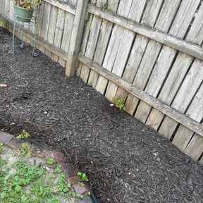Flower Bed Weeding by Archies Bunker reviewed on July 4, 2026