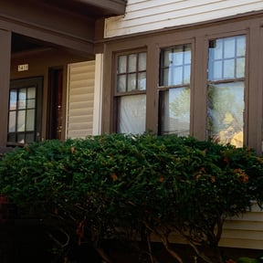 Bush Trimming by Integrity Lawn Care reviewed on August 19, 2025