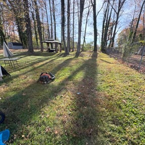 Leaf Removal by Home care Services reviewed on November 24, 2025