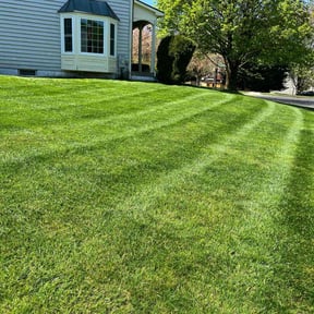 residential landscaping by Samurai Soil reviewed on November 22, 2025