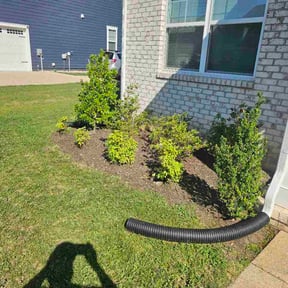 Flower Bed Weeding by GreenScape Solutions LLC reviewed on June 3, 2026