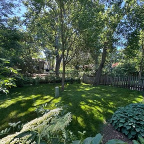 residential landscaping by Clean cut lawn care reviewed on August 21, 2025