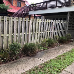 Bush Trimming by Supreme Home Services reviewed on August 20, 2025
