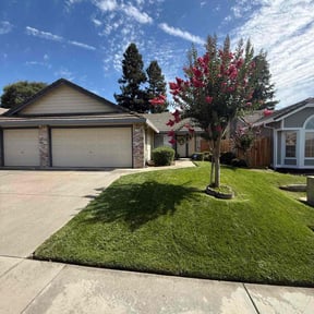 yard service by Manny los Lawn Care Services reviewed on August 16, 2025