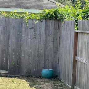 Bush Trimming by Gray&#039;s Lawn Service reviewed on October 24, 2025