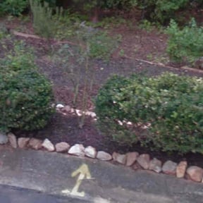 Bush Trimming by Casique landscaping inc. reviewed on August 15, 2025