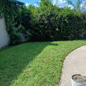 lawn care services by Texas Fencing &amp; Landscaping reviewed on October 6, 2023