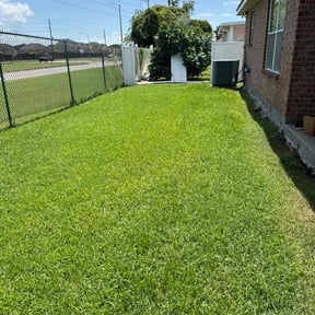 yard maintenance by Early Risers Lawncare Service reviewed on August 19, 2025
