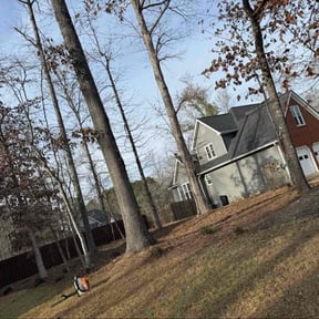 Leaf Removal by Pamelalawn reviewed on February 25, 2026