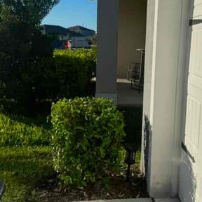 Bush Trimming by Quasny & Son Landscaping reviewed on August 21, 2025