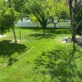 turf care by Lawn Patrol reviewed on August 21, 2025