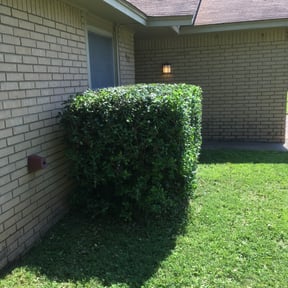 Bush Trimming by JohnRobert Lawn&Garden reviewed on August 16, 2025