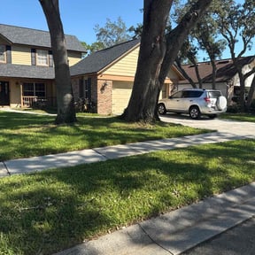 landscaping services by Official tycoon lawns reviewed on August 16, 2025