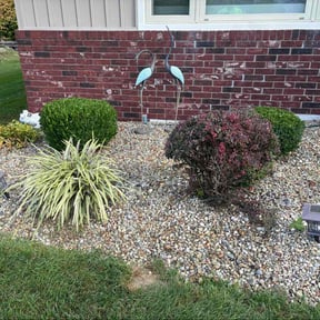 Bush Trimming by Brown&#039;s Waterworks reviewed on October 24, 2025