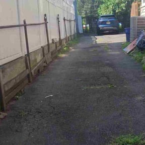 Bush Trimming by Stephenson&#039;s Landscaping reviewed on July 21, 2023