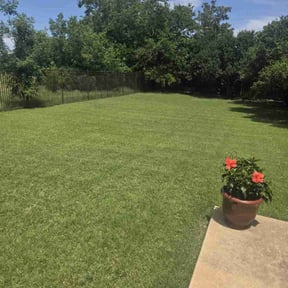 yard maintenance by AJ Landscaping & More reviewed on August 15, 2025