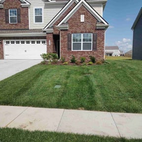 yard maintenance by Towery's Lawn Care reviewed on August 17, 2025