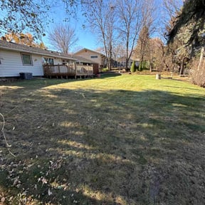 Leaf Removal by KC Lawn Services reviewed on November 19, 2025