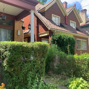 Bush Trimming by Your Money Worth Landscape LLC reviewed on August 21, 2025