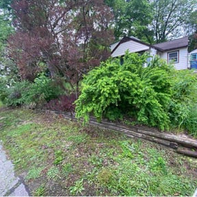 Bush Trimming by National preservation and REO services reviewed on August 19, 2025