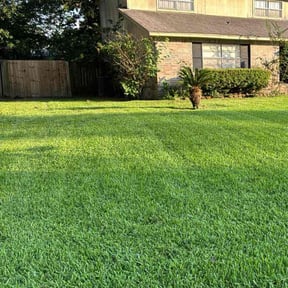 gardening service by Economic Landscaping reviewed on July 3, 2025