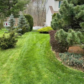 yard maintenance by Perfect lawn reviewed on August 19, 2025