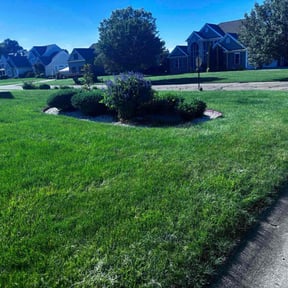 yard care by Chai Vue reviewed on August 21, 2025