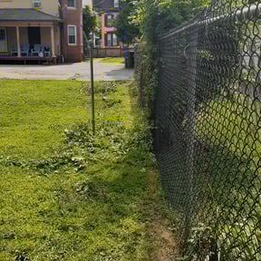 Bush Trimming by Shorty's Lawn Services reviewed on August 16, 2025