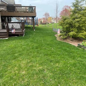 lawn care by Guzmán Landscaping reviewed on August 15, 2025