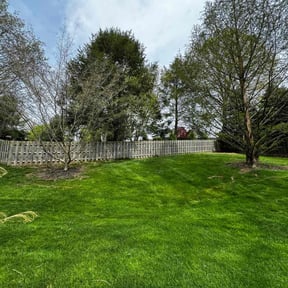 yard maintenance by Nature&#039;s Canvas reviewed on May 10, 2024