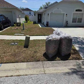 Leaf Removal by Keep It Green reviewed on May 4, 2026
