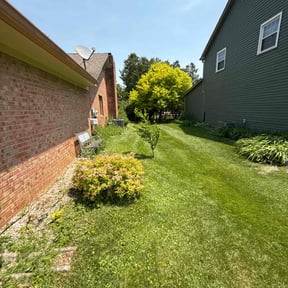 yard care by Grass Care By the Beach reviewed on August 19, 2025