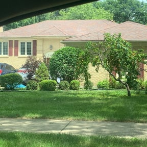 Bush Trimming by Cracks n Corners lawn services reviewed on August 18, 2025