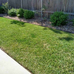 residential landscaping by AC LAWNCARE reviewed on August 17, 2025