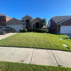 Bush Trimming by Texas Fencing & Landscaping (Duplicate) reviewed on August 17, 2025