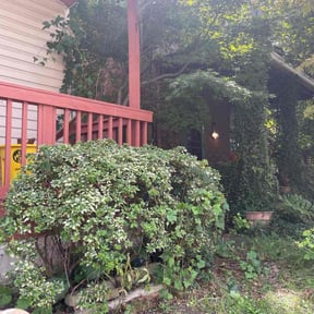 Bush Trimming by C&C Lawn Care reviewed on August 16, 2025