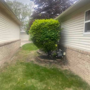 Bush Trimming by Can’t Stop Won’t Stop Lawn Care reviewed on May 16, 2026