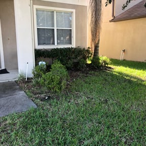 Bush Trimming by Code 3 Lawn LLC reviewed on August 16, 2025
