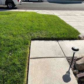 lawn maintenance by GT Luxury Lawn... reviewed on August 21, 2025