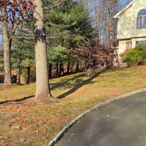 Leaf Removal by Rise Lawn Care reviewed on November 22, 2025