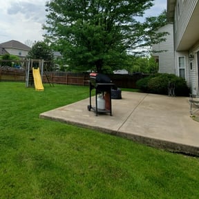 Bush Trimming by Your Next Cut Lawn Services reviewed on August 16, 2025