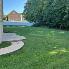 turf care by LoneStar Mow Pros reviewed on June 22, 2022