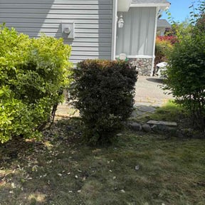 Bush Trimming by Brianco reviewed on July 15, 2026