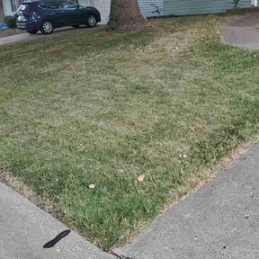 Leaf Removal by Scarlet and gray Lawn Care Management LLC reviewed on September 22, 2025