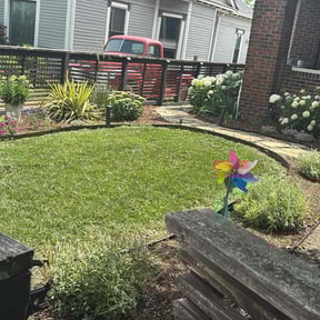 landscaping services by KD's lawn care & Maintenance reviewed on August 16, 2025
